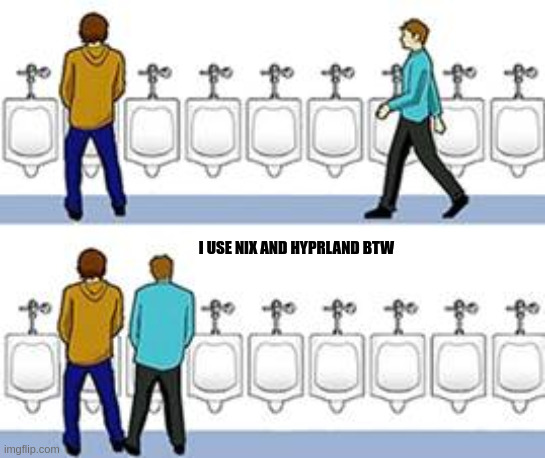 I use nix and hyprland btw meme